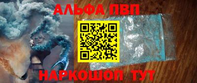 твердый Кингисепп
