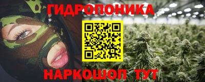 твердый Кингисепп
