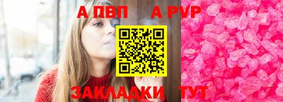 твердый Кингисепп
