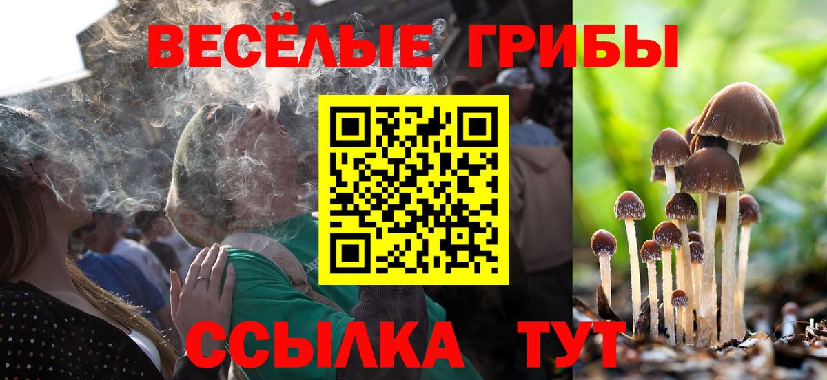 Краснокаменск  Псилоцибиновые грибы мицелий  Вход с VPN 